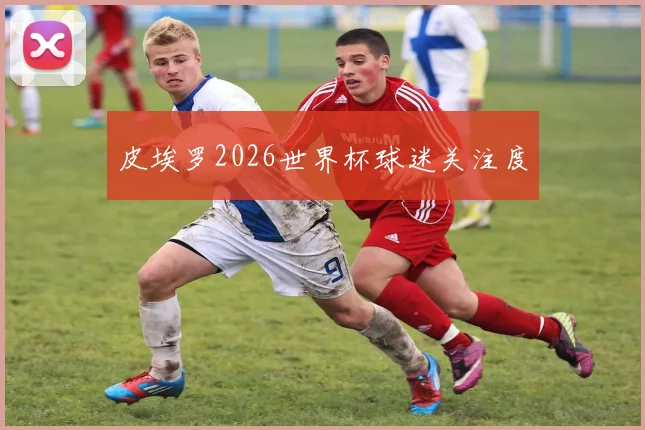 皮埃罗2026世界杯球迷关注度