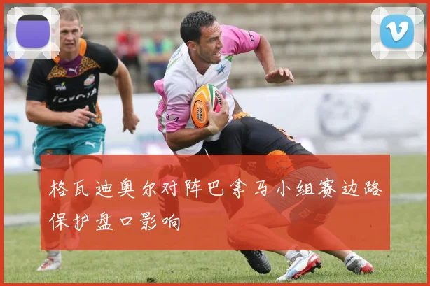 格瓦迪奥尔对阵巴拿马小组赛边路保护盘口影响