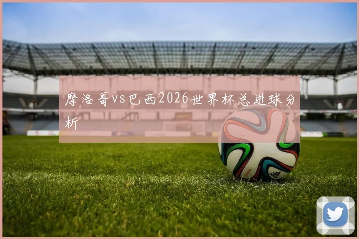 摩洛哥vs巴西2026世界杯总进球分析