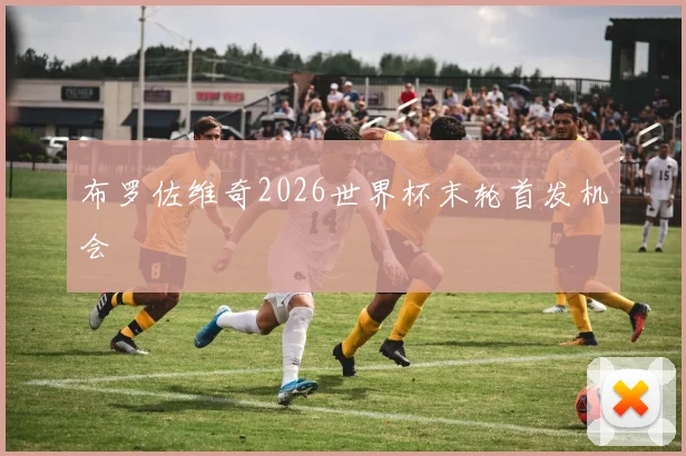 布罗佐维奇2026世界杯末轮首发机会