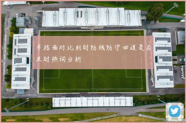 辛格面对比利时防线防守回追是否及时热词分析