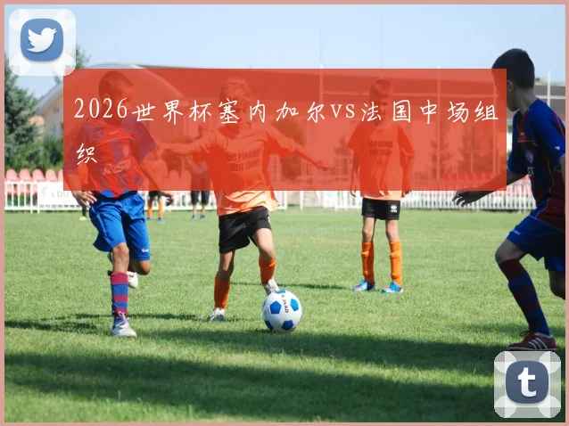 2026世界杯塞内加尔vs法国中场组织