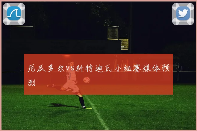 厄瓜多尔vs科特迪瓦小组赛媒体预测