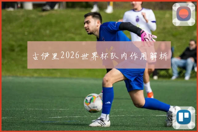 古伊里2026世界杯队内作用解析