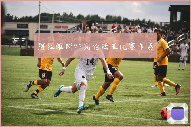 阿拉维斯vs瓦伦西亚比赛节奏