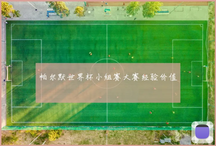 帕尔默世界杯小组赛大赛经验价值